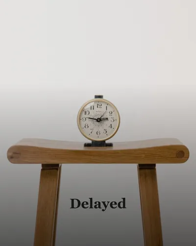 Cover image for Delayed
