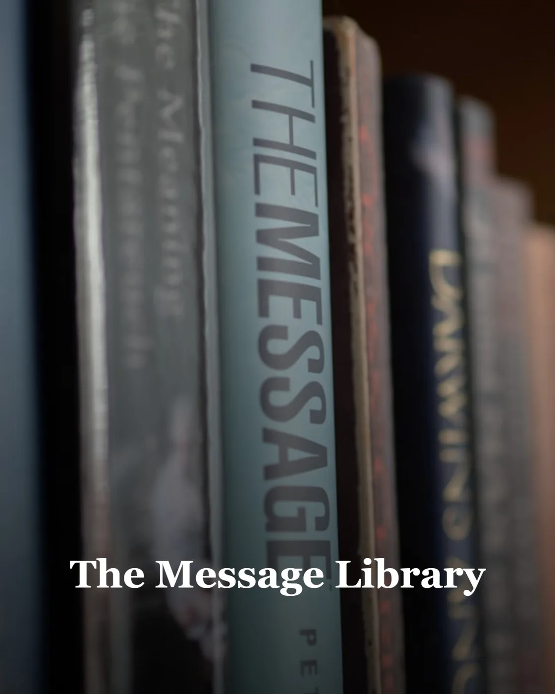 Close-up of books on a shelf, one titled the message.