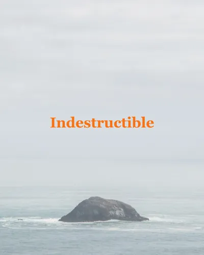 Cover image for Indestructible