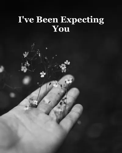 Cover image for I've Been Expecting You