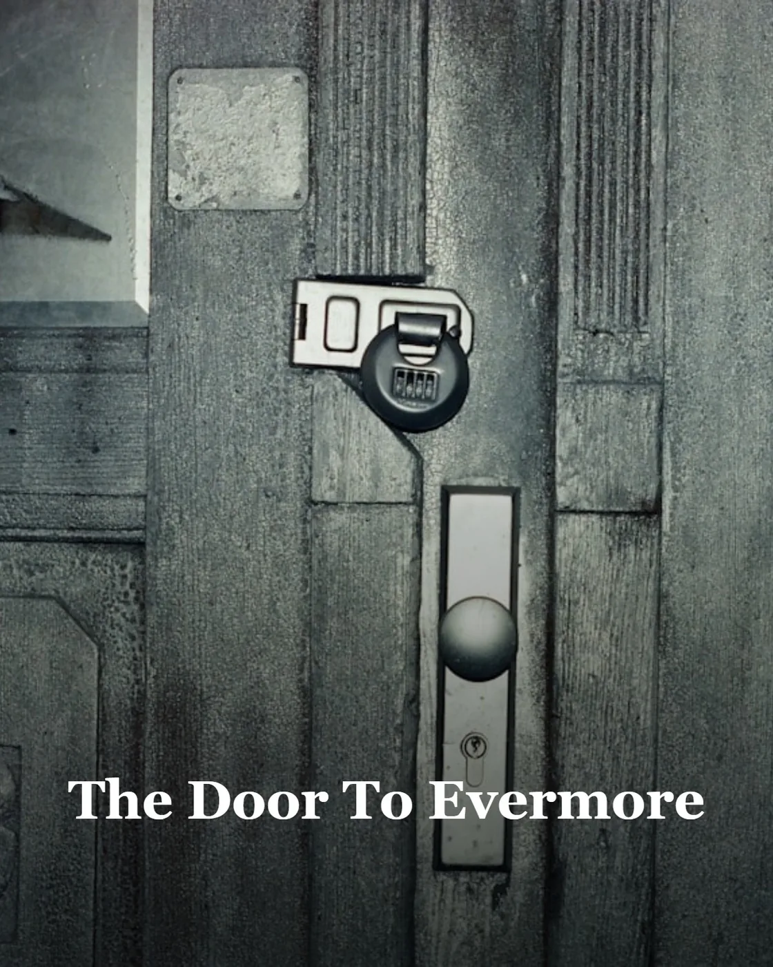 Rustic wooden door with a doorknob and padlock.