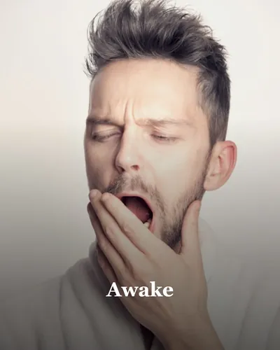 Cover image for Are You Awake