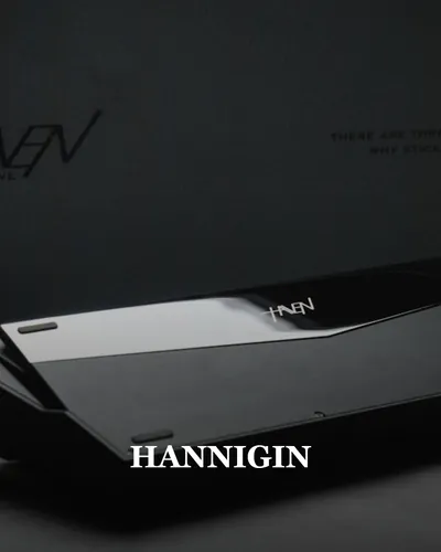 Cover image for HANNIGIN