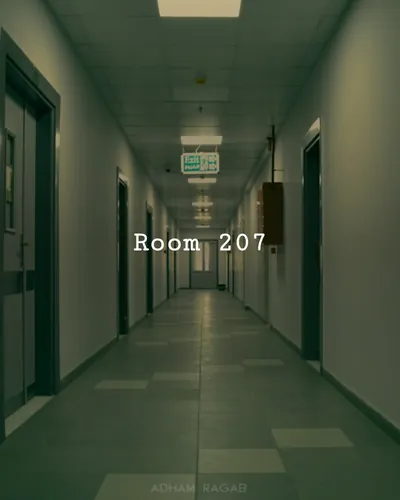 Cover image for Room 207