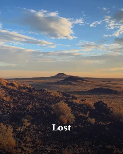 Cover image for Lost