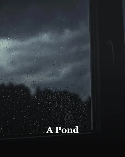 Cover image for A Pond