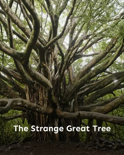 Cover image for The Strange Great Tree