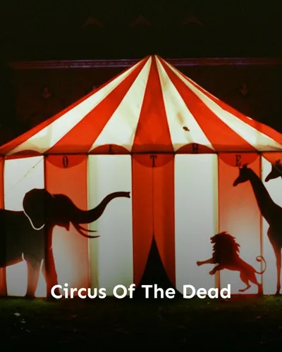 Cover image for Circus Of The Dead
