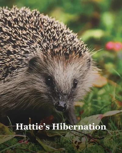 Cover image for Hattie’s Hibernation