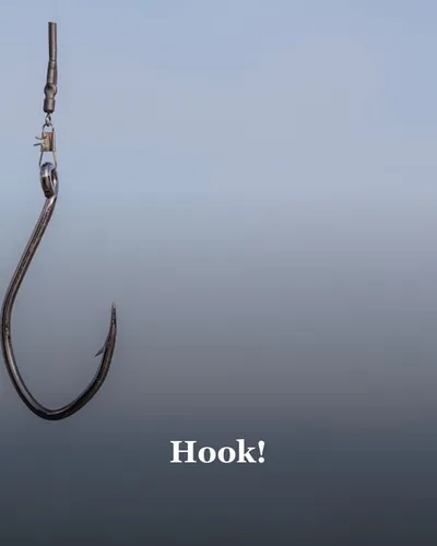 Cover image for Hook!
