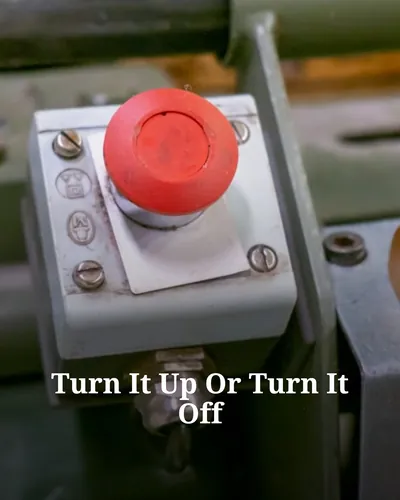 Cover image for Turn It Up Or Turn It Off