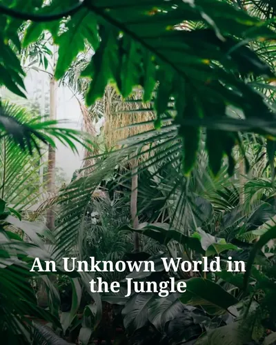 Cover image for An Unknown World in the Jungle
