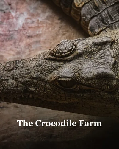 Cover image for The Crocodile Farm