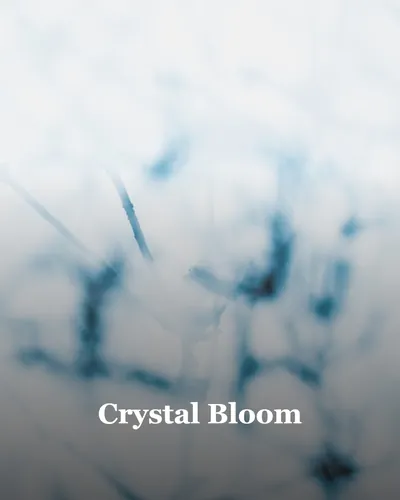 Cover image for Crystal Bloom