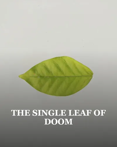 Cover image for The Single Leaf of Doom