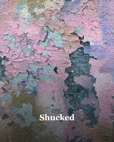 Cover image for Shucked