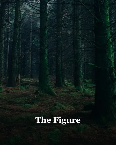 Cover image for The Figure