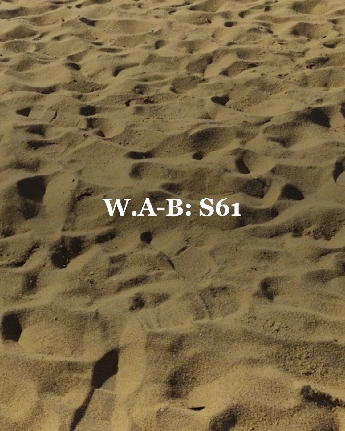 Footprints in the golden sand on a sunny day