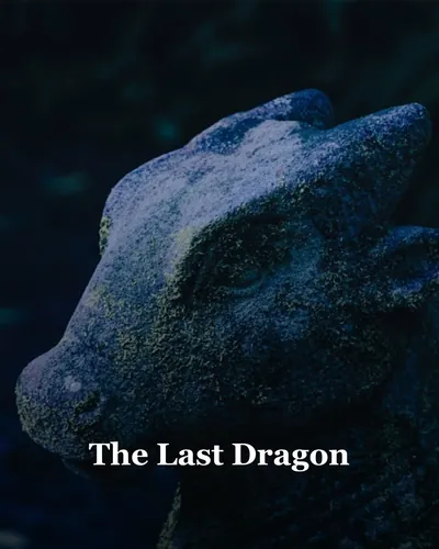 Cover image for The Last Dragon