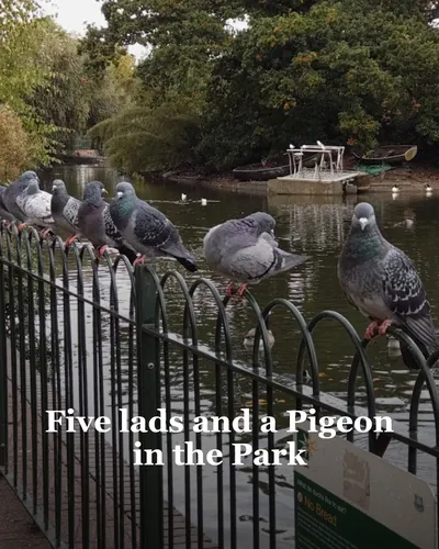 Cover image for Five lads and a Pigeon in the Park