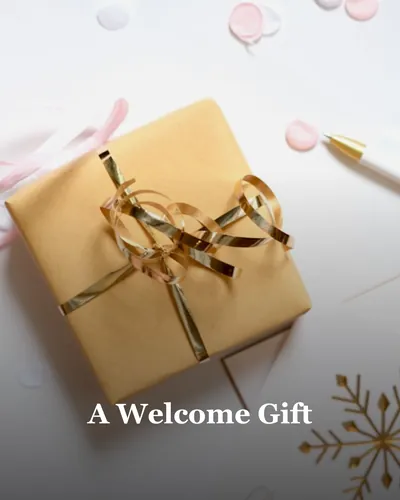 Cover image for A Welcome Gift