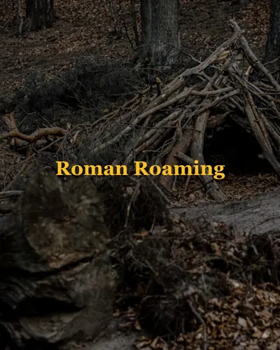 Cover image for Roman Roaming
