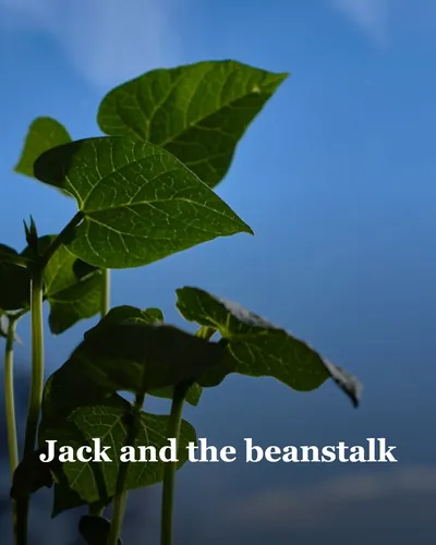 Cover image for Jack and the beanstalk
