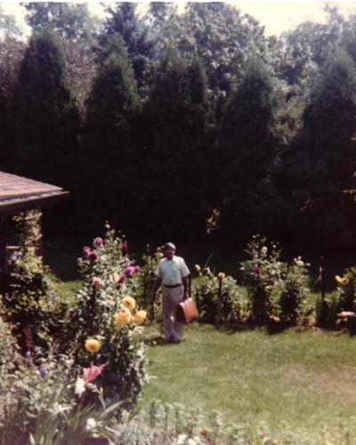 Cover image for The Gardener of Past Lives
