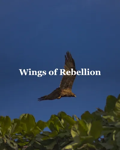 Cover image for Wings of Rebellion
