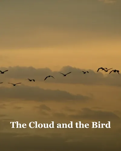 Cover image for The Cloud and the Bird