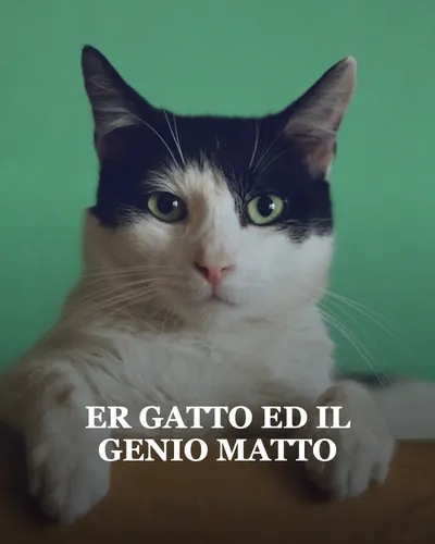 Immagine di copertina per ER GATTO ED IL GENIO MATTO