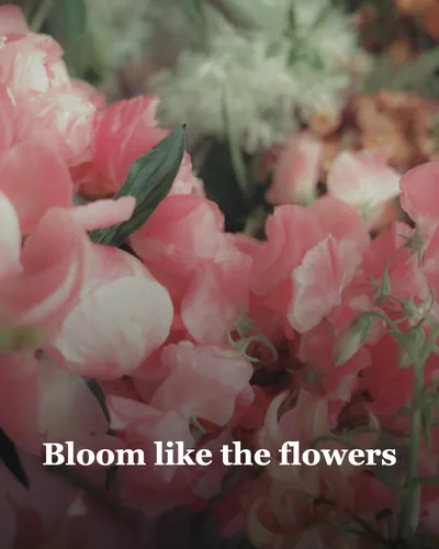 Cover image for Bloom Like the Flowers