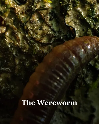 Cover image for The Wereworm