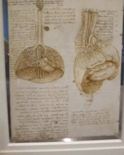 Cover image for Belladonna : A dark academia flash fiction