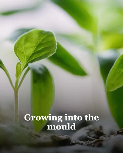 Cover image for Growing Into the Mould