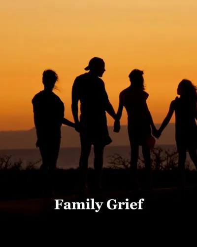Cover image for Family Grief