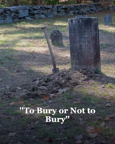 Cover image for ''To Bury or Not to Bury''