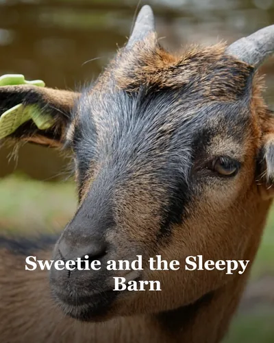 Cover image for Sweetie and the Sleepy Barn