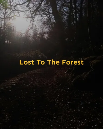 Cover image for Lost To The Forest