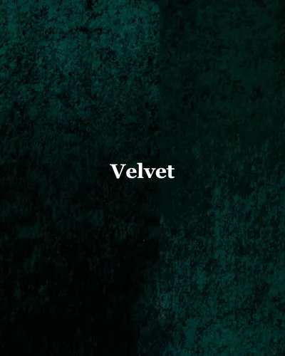 Cover image for Velvet