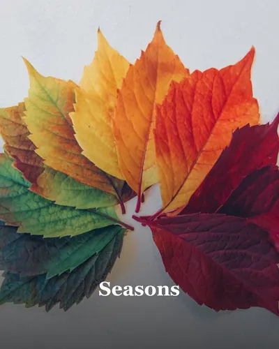 Cover image for Seasons