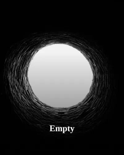 Cover image for Empty