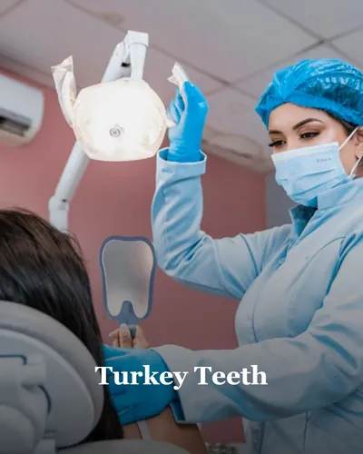 Cover image for Turkey Teeth