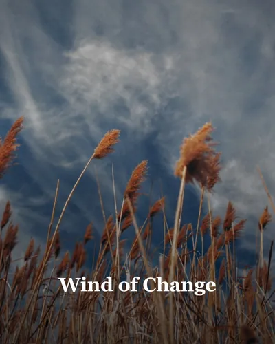 Cover image for Wind of Change