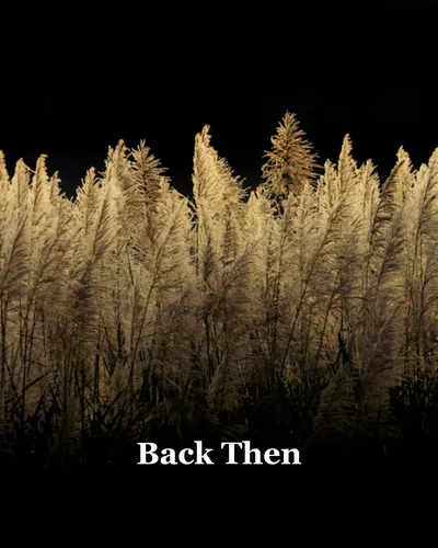 Cover image for Back Then