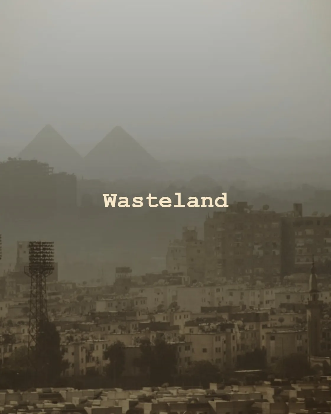 aerial photo of gray buildings near pyramids