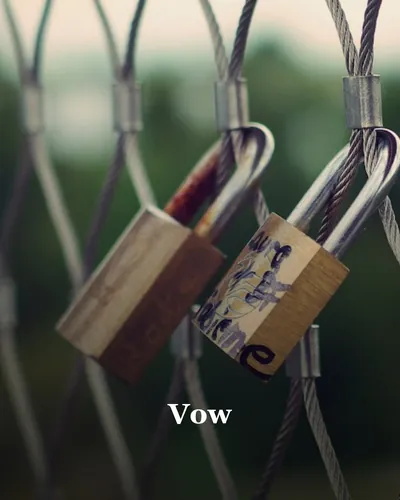 Cover image for Vow