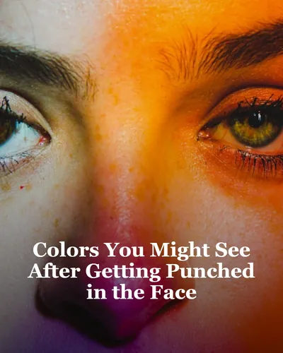 Cover image for Colors You Might See After Getting Punched in the Face