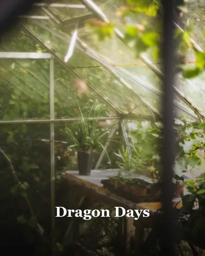 Cover image for Dragon Days