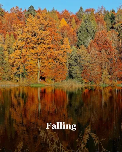 Image de couverture pour Falling